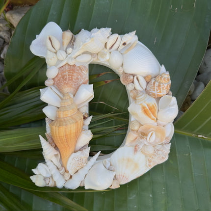 Seashell Letter D
