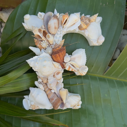 Seashell Letter F