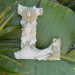 Seashell Letter L