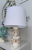 Seashell Lamp