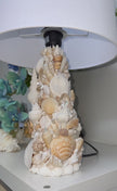 Seashell Lamp