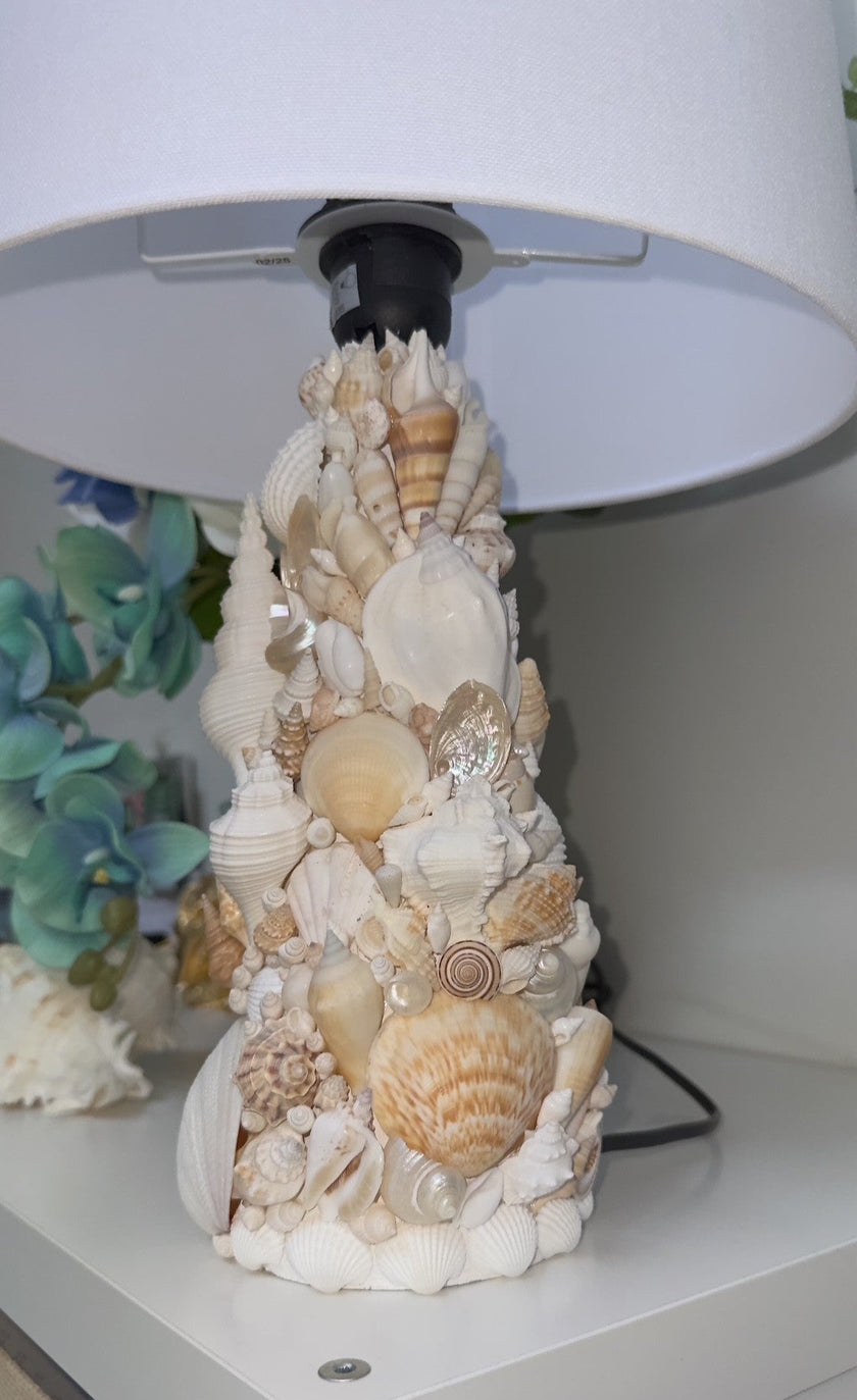 Seashell Lamp
