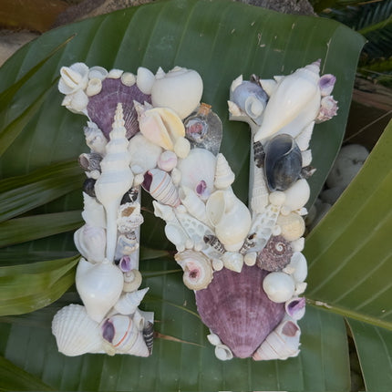Seashell Letter N