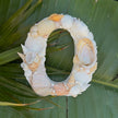 Seashell Letter O