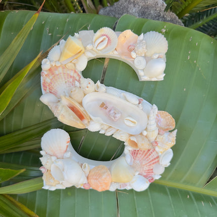 Seashell Letter S