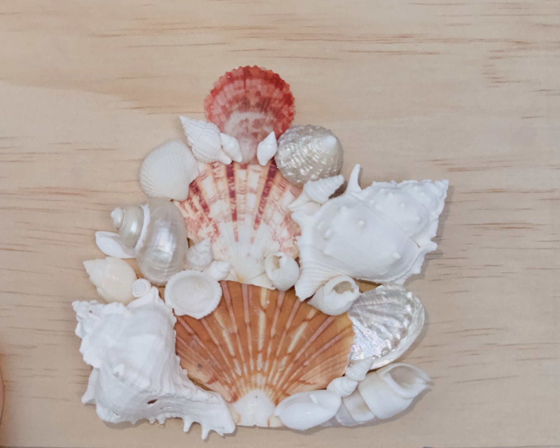 Custom Seashell Letter N-Z