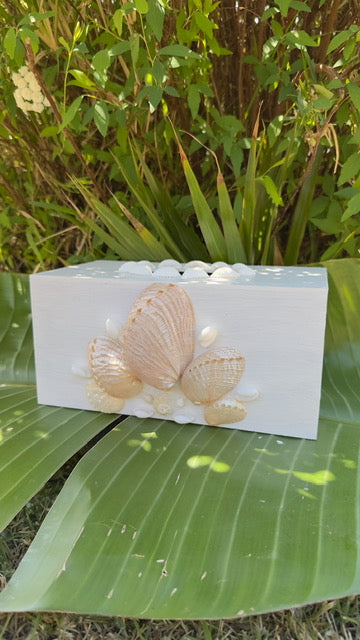 Abalone Seashell Tissue Box
