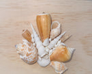 Custom Seashell Letter A-L