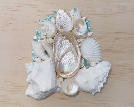 Custom Seashell Letter M/W