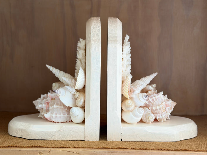 Seashell Coral Bookends