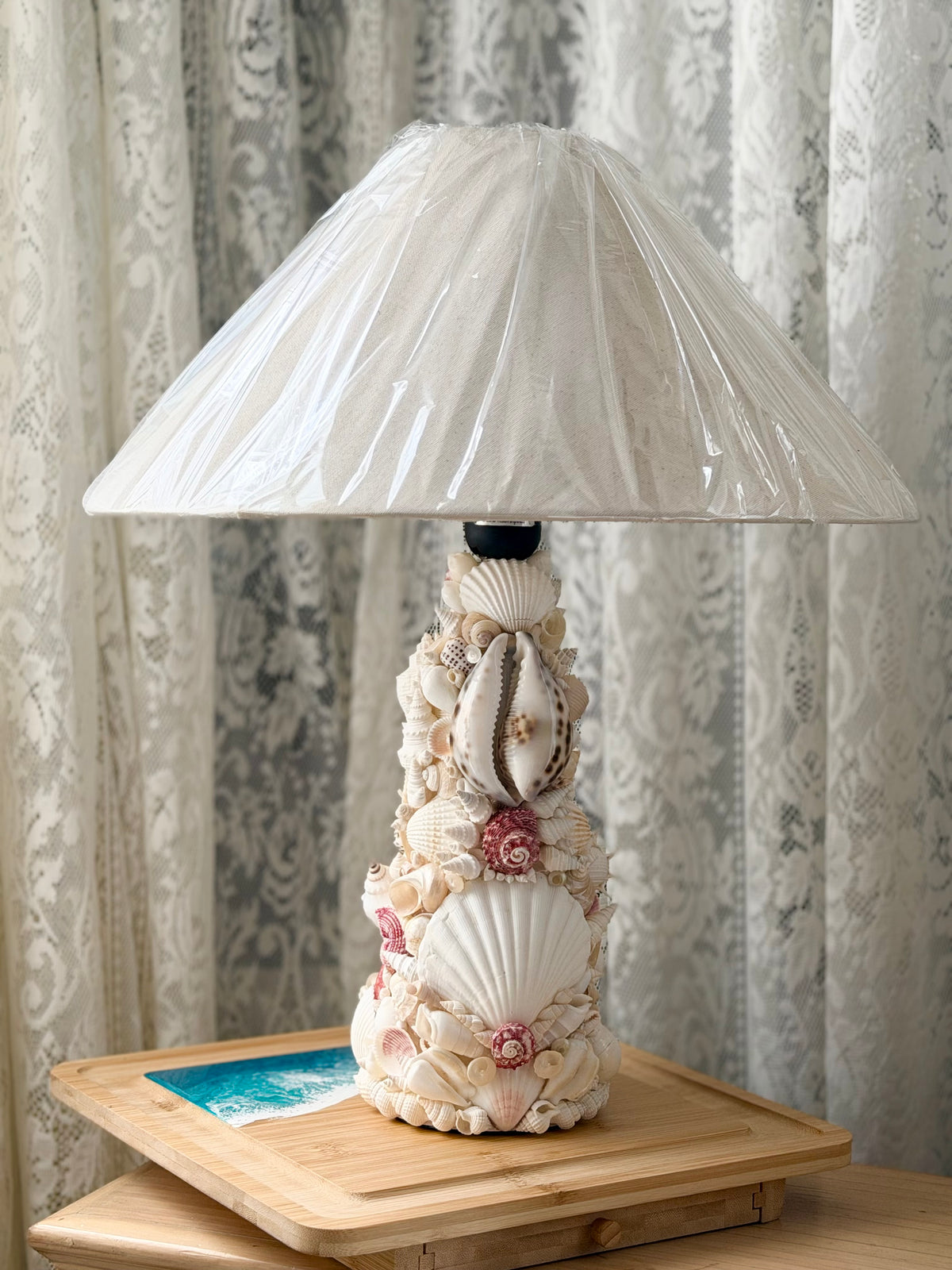 Eleanor Seashell Lamp