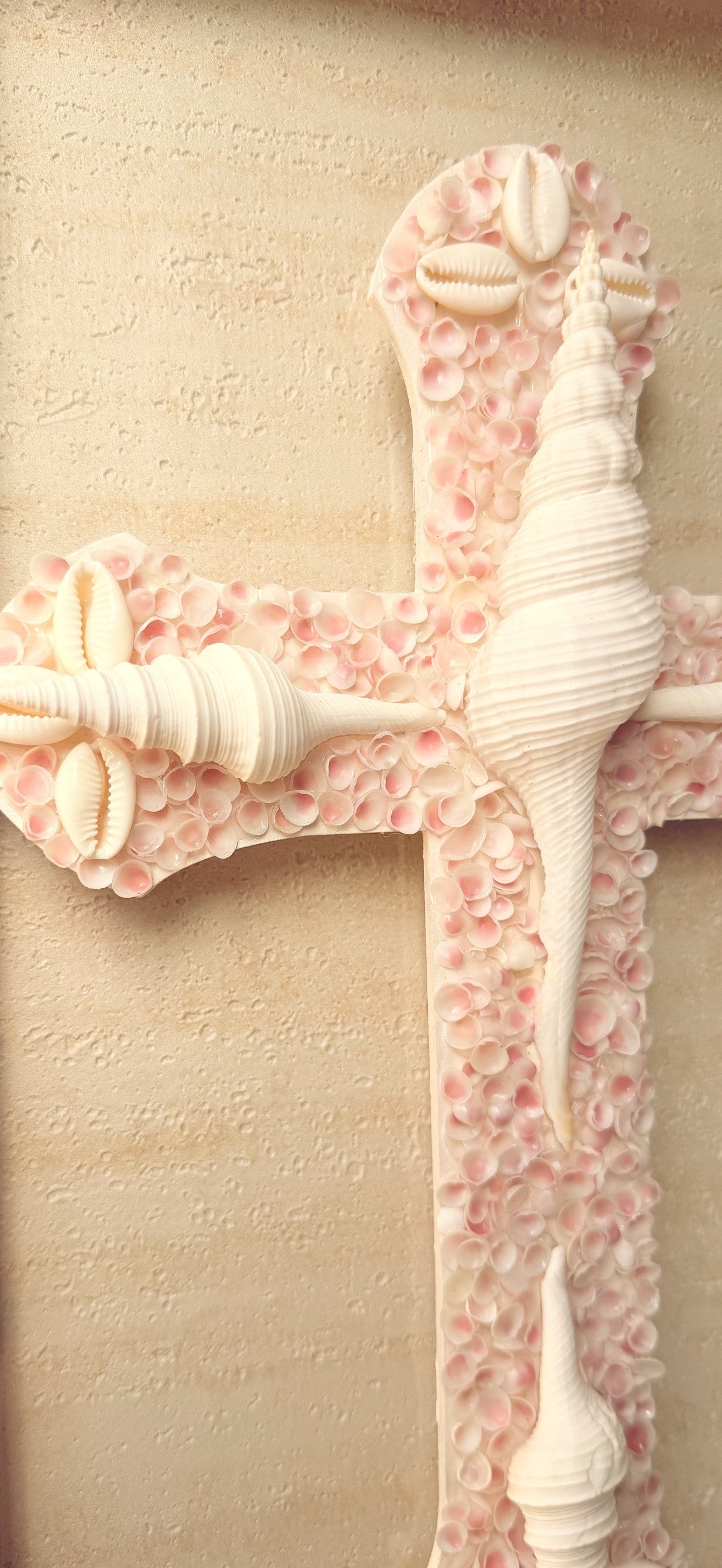 Floating Seashell Cross 5