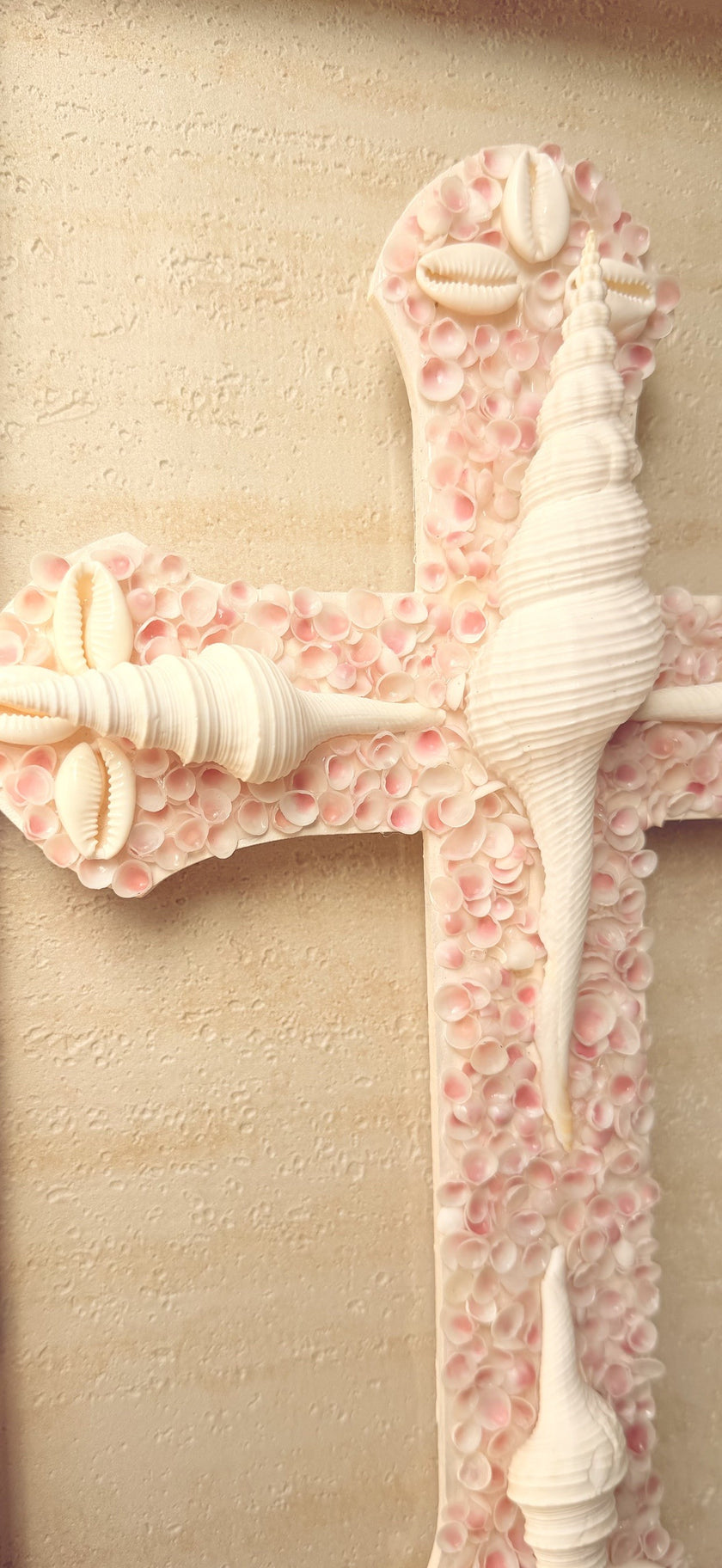 Floating Seashell Cross 5