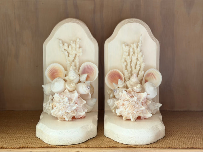 Seashell Coral Bookends