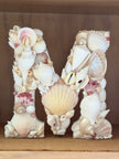 Seashell Letter M