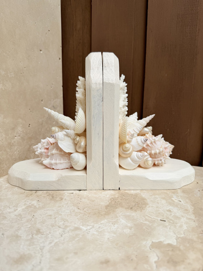 Seashell Coral Bookends