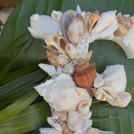 Seashell Letter F