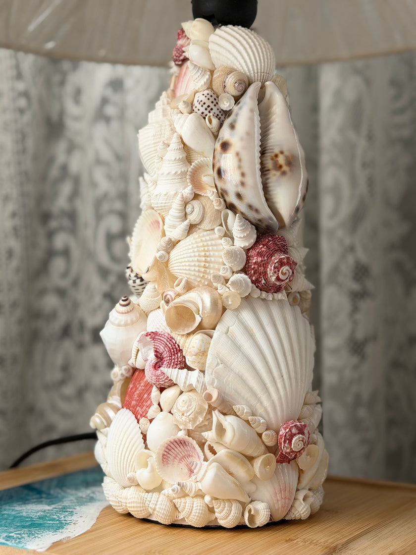 Eleanor Seashell Lamp