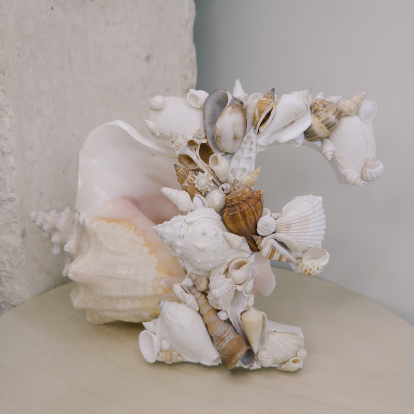 Seashell Letter F