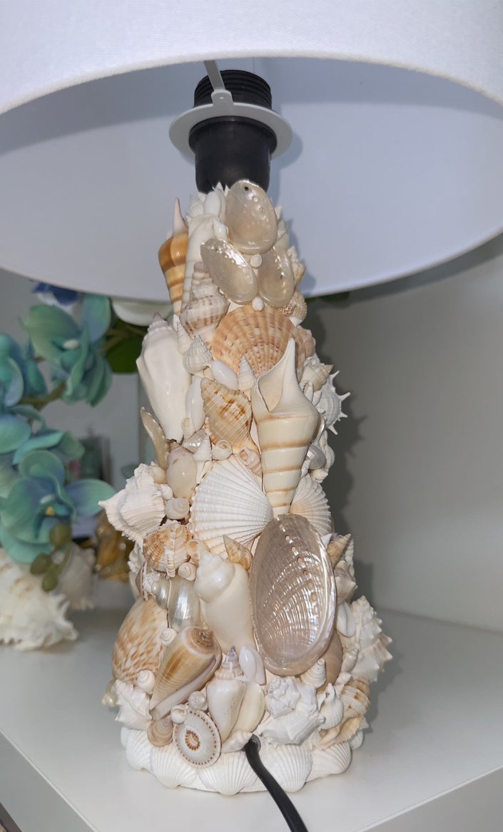 Seashell Lamp