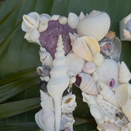 Seashell Letter N