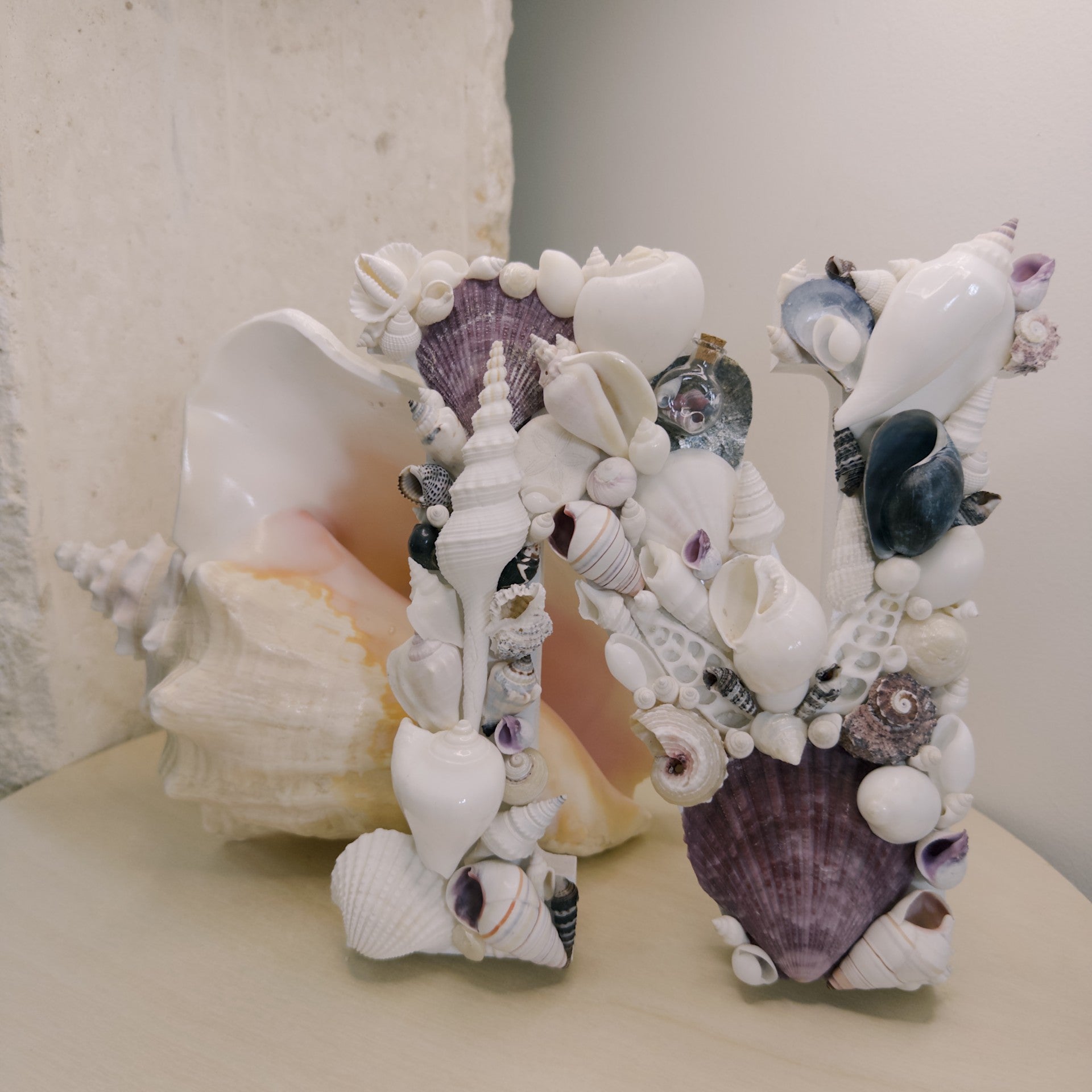 Seashell Letter N