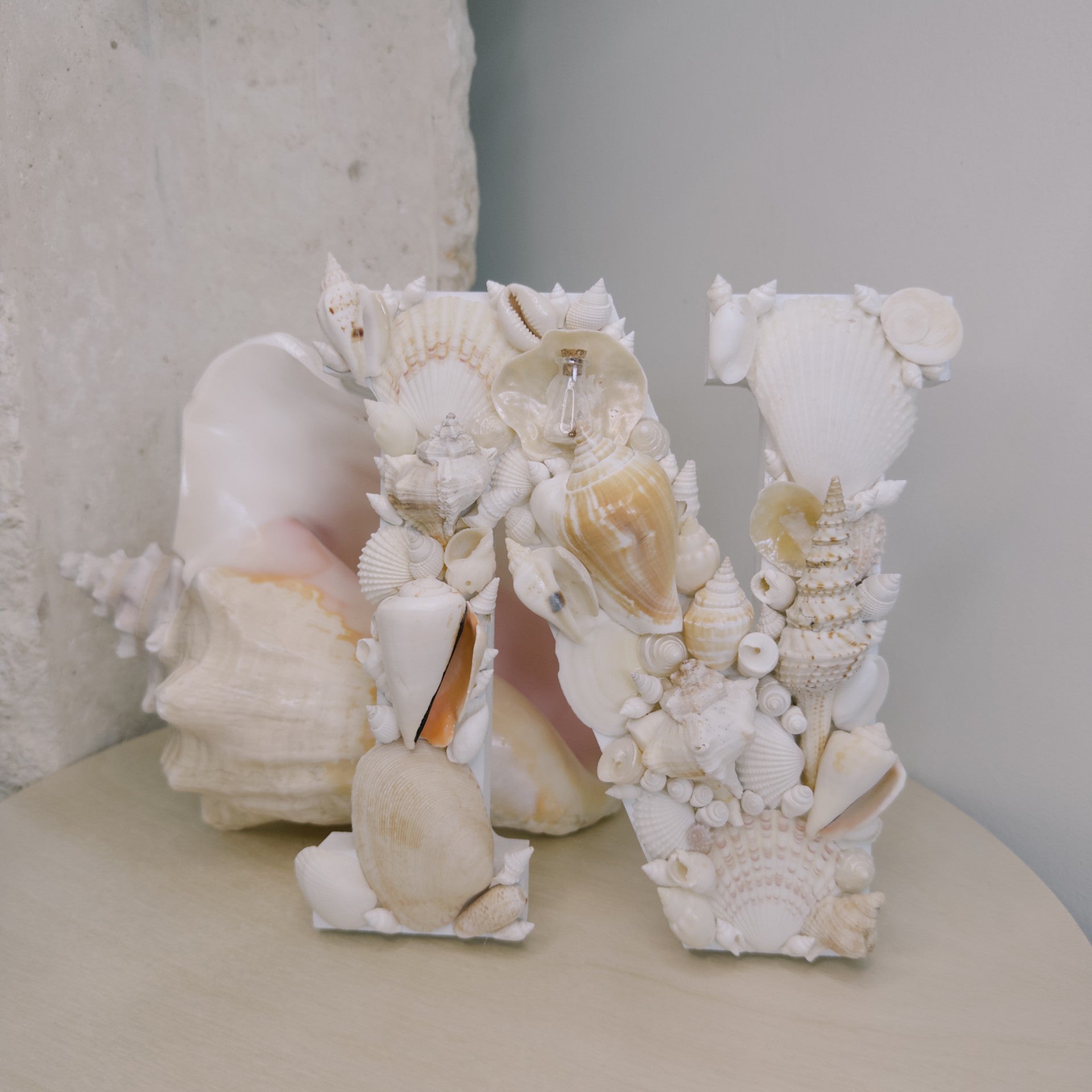 Seashell Letter N