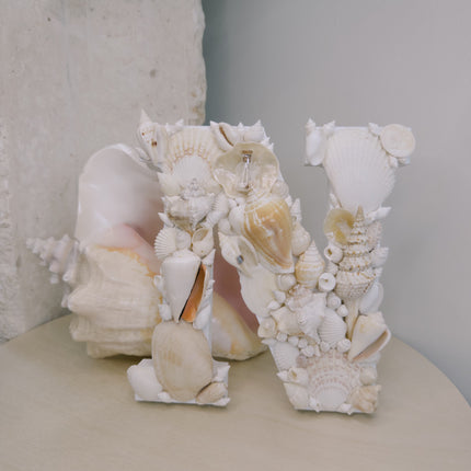 Seashell Letter N