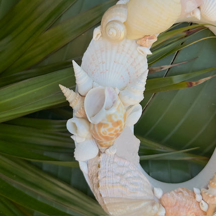 Seashell Letter O