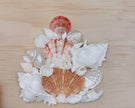 Custom Seashell Letter A-L