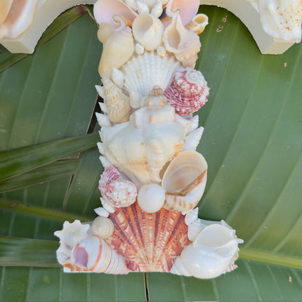 Seashell Letter T