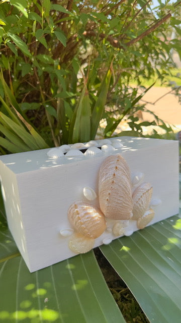 Abalone Seashell Tissue Box