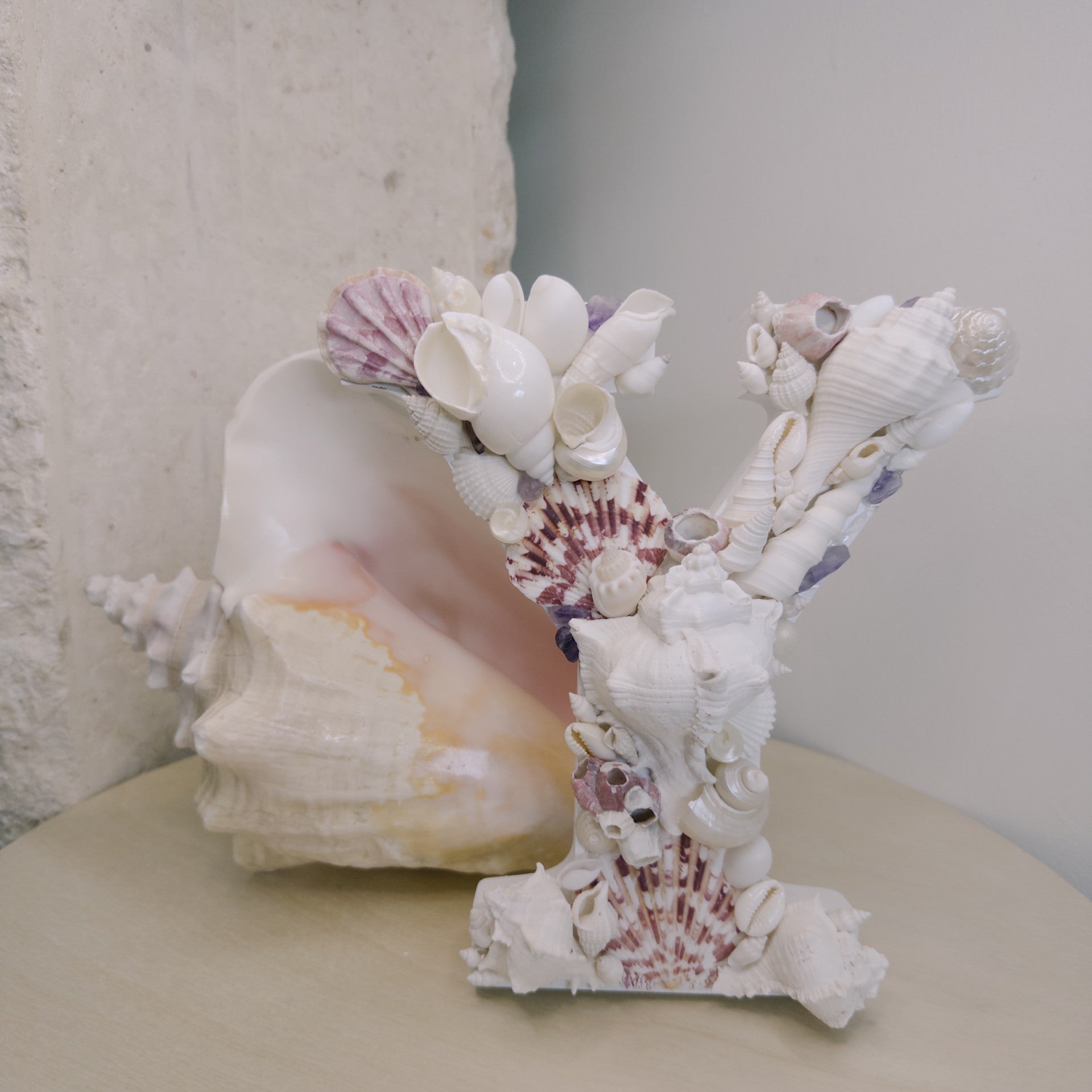 Seashell Letter Y