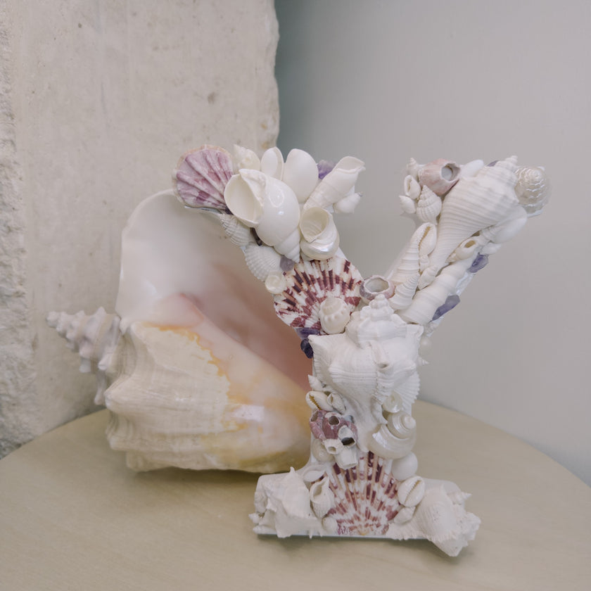 Seashell Letter Y