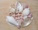 Custom Seashell Letter A-L