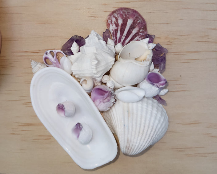 Custom Seashell Letter A-L